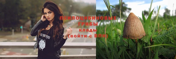 амф Богданович