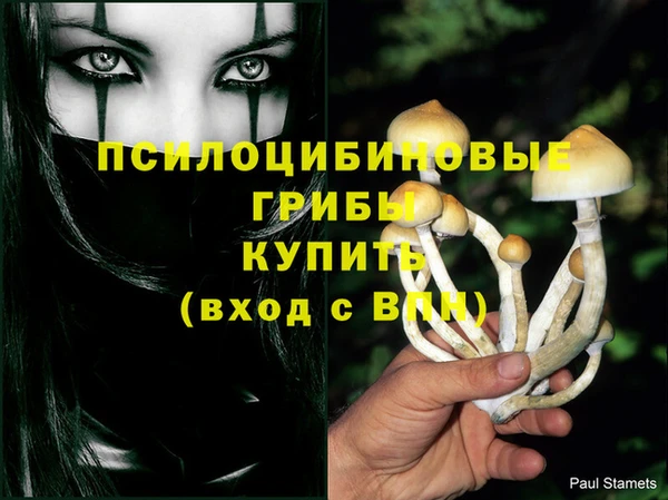 амф Богданович