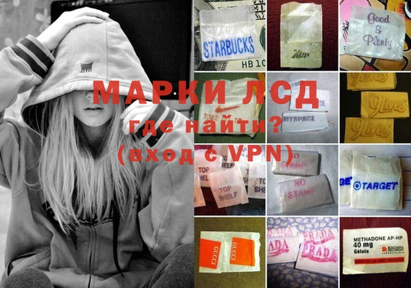 сатива Белоозёрский