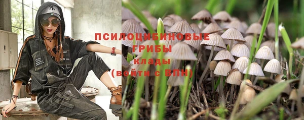 амф Богданович