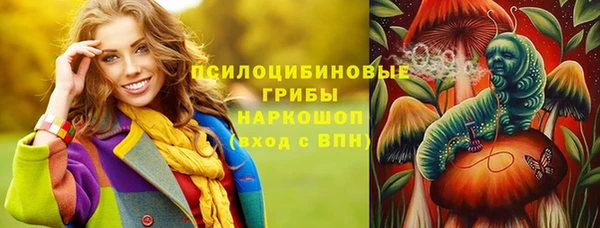 амф Богданович