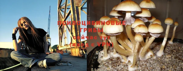 метадон Богородск