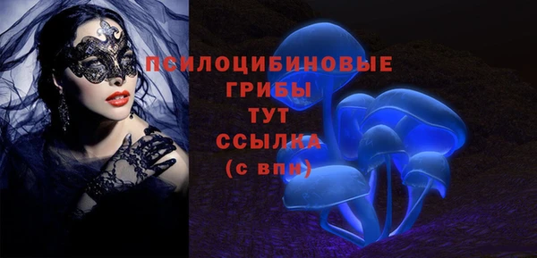 кокс Богородицк