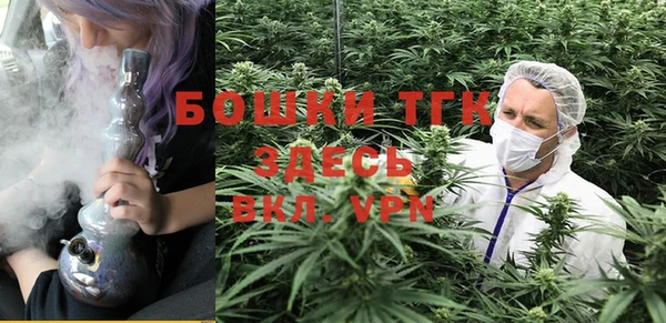 кокс Богородицк