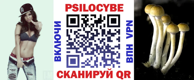 Галлюциногенные грибы прущие грибы площадка клад Вязьма